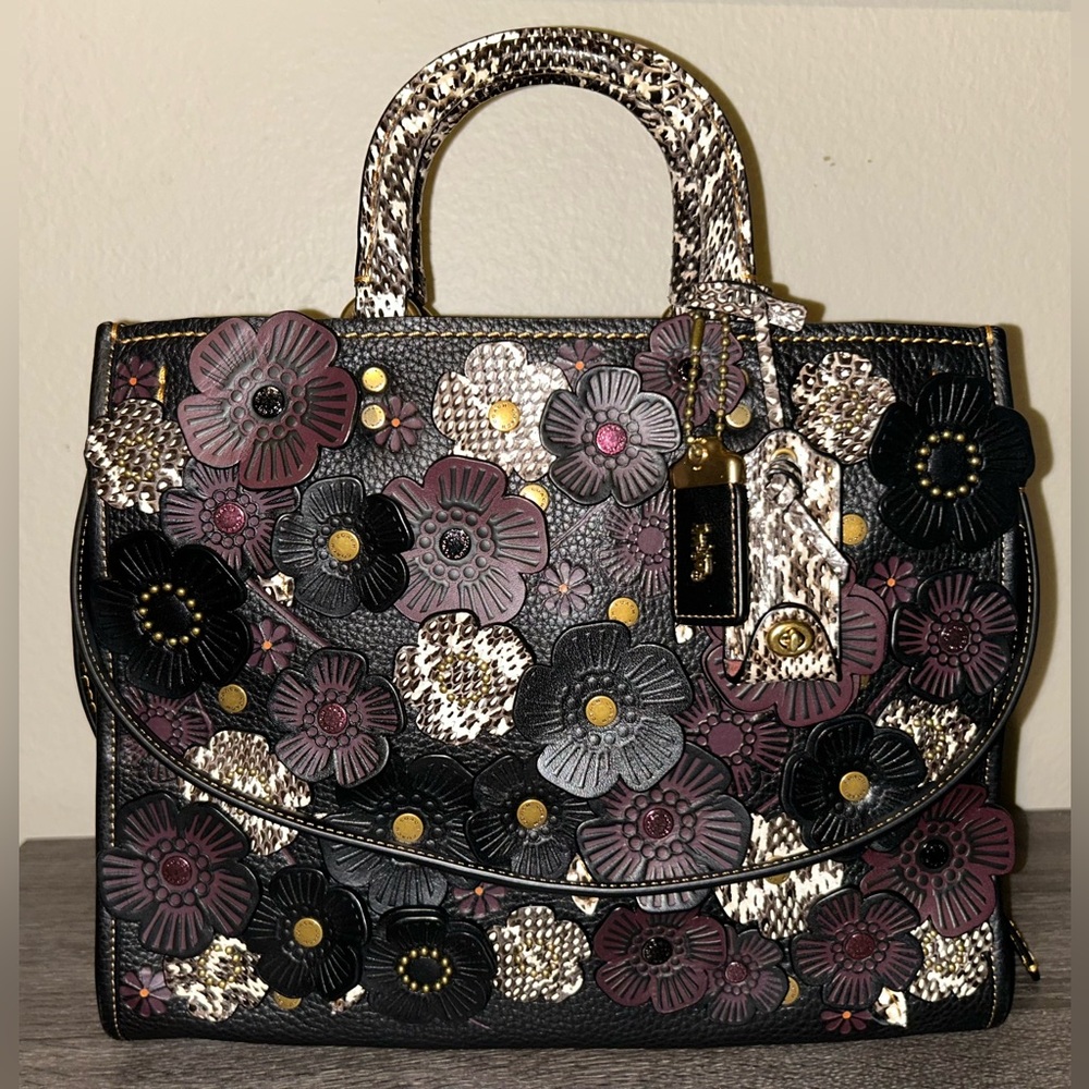 Coach Rogue 30/31